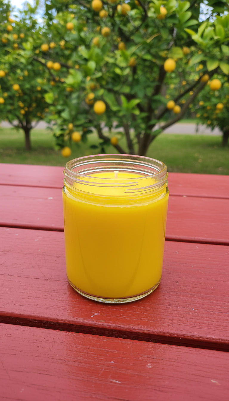 Little Lemon Tree Signature Candle